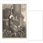 The Dead Hare, 1649 by Wenceslaus Hollar