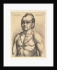 Unus Americanus ex Virginia, 1645 by Wenceslaus Hollar