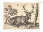 Stag lying to right, 1649 by Wenceslaus Hollar