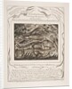 Job's Evil Dreams, from Illustrations of the Book of Job, 1825-26 by William Blake