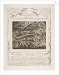 Job's Evil Dreams, from Illustrations of the Book of Job, 1825-26 by William Blake
