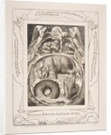 Behemoth and Leviathan, from Illustrations of the Book of Job, 1825-26 by William Blake