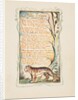 Songs of Innocence and of Experience: The Tyger, ca. 1825 by William Blake