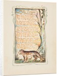 Songs of Innocence and of Experience: The Tyger, ca. 1825 by William Blake