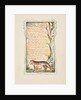 Songs of Innocence and of Experience: The Tyger, ca. 1825 by William Blake