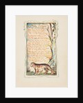 Songs of Innocence and of Experience: The Tyger, ca. 1825 by William Blake