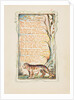 Songs of Innocence and of Experience: The Tyger, ca. 1825 by William Blake