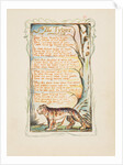 Songs of Innocence and of Experience: The Tyger, ca. 1825 by William Blake