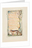 Songs of Innocence and of Experience: The Tyger, ca. 1825 by William Blake