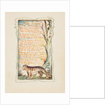 Songs of Innocence and of Experience: The Tyger, ca. 1825 by William Blake
