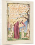 Songs of Innocence and of Experience: The Fly, ca. 1825 by William Blake