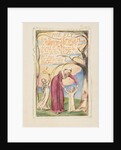Songs of Innocence and of Experience: The Fly, ca. 1825 by William Blake
