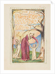 Songs of Innocence and of Experience: The Fly, ca. 1825 by William Blake