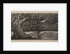 Blasted Trees and Flattened Crops, from Thornton's Pastorals of Virgil, 1821 by William Blake