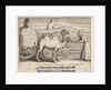 Two Dromedarie by William Hogarth