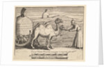 Two Dromedarie by William Hogarth