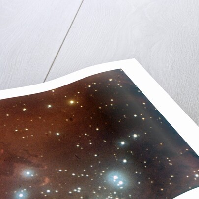 Nebulosity and star cluster in Serpens by NASA