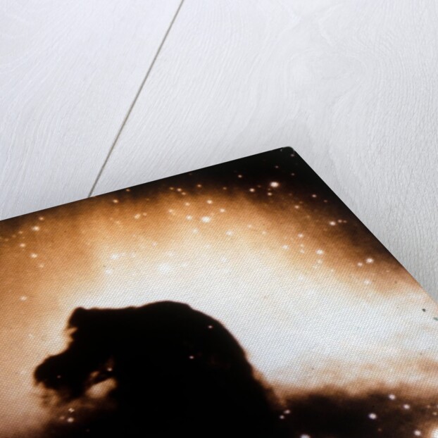 Horsehead Nebula in Orion by NASA