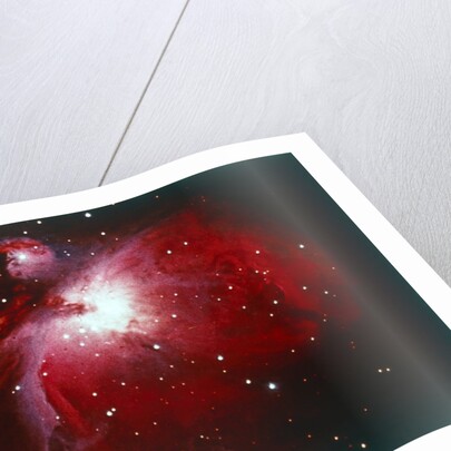 The Orion Nebula by NASA
