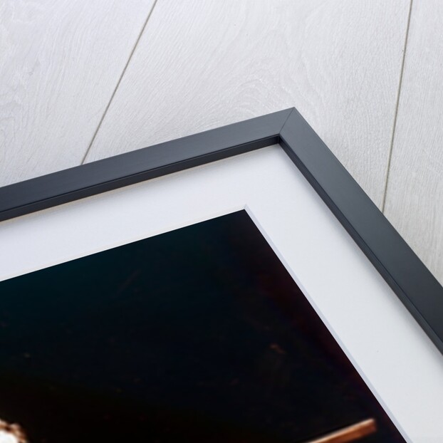 Viking spacecraft, 1970s by NASA