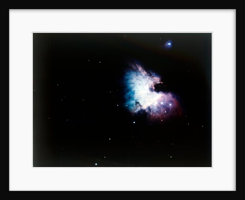 The Orion Nebula by NASA