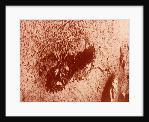 Trench excavated by surface sampler, Viking 1 Mission to Mars, 1976 by NASA