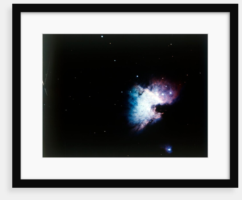 The Orion Nebula by NASA