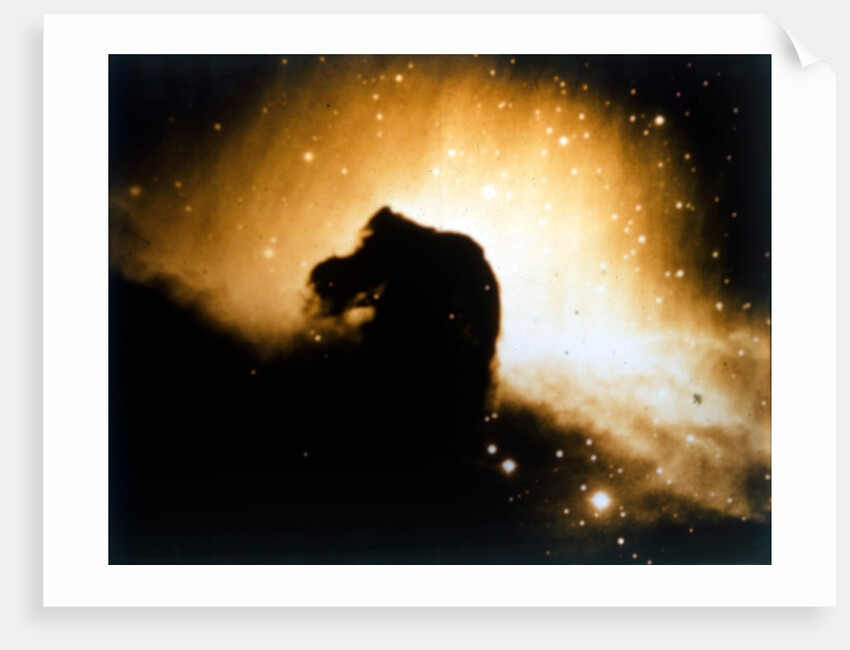 Horsehead Nebula in Orion by NASA