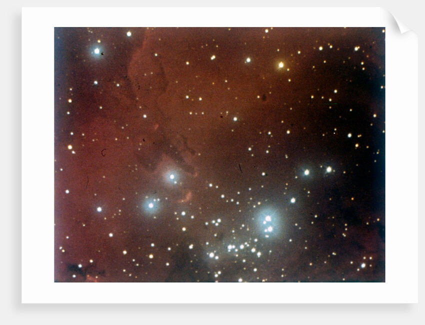 Nebulosity and star cluster in Serpens by NASA