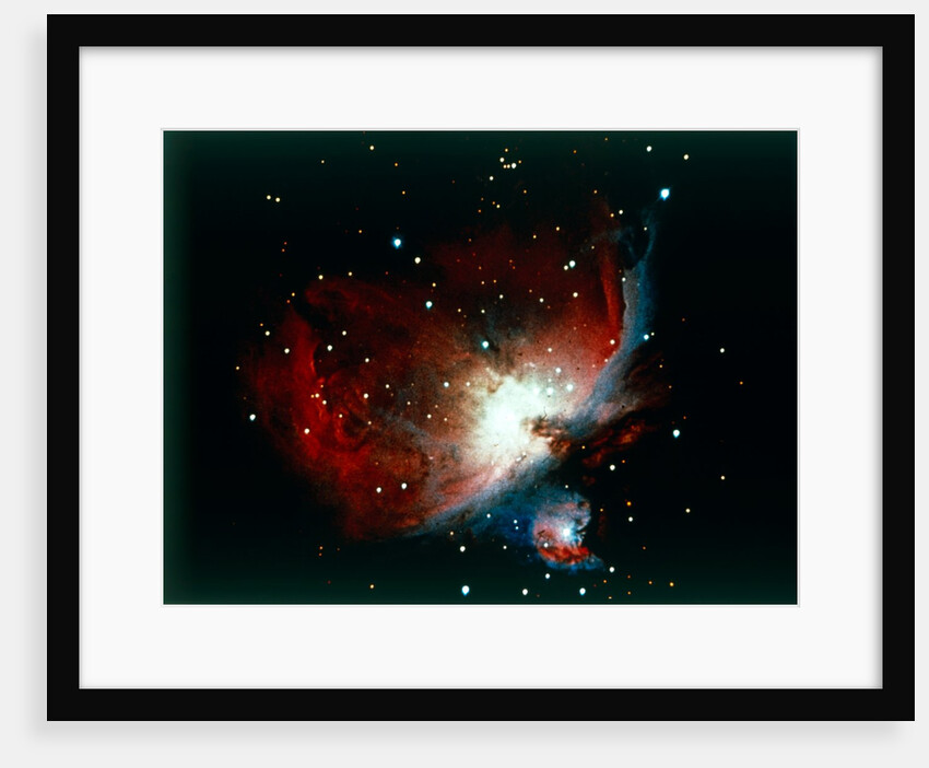 The Orion Nebula by NASA