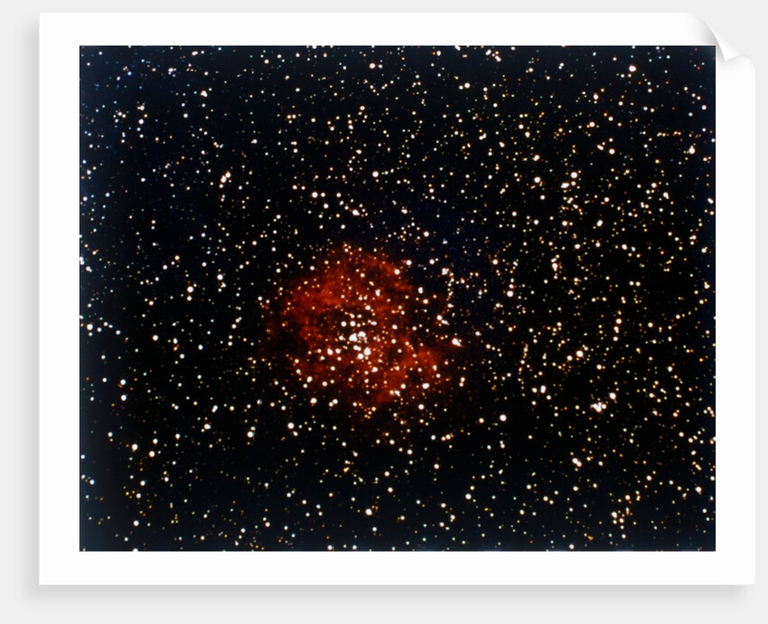 Rosette Nebula in Monoceros by NASA