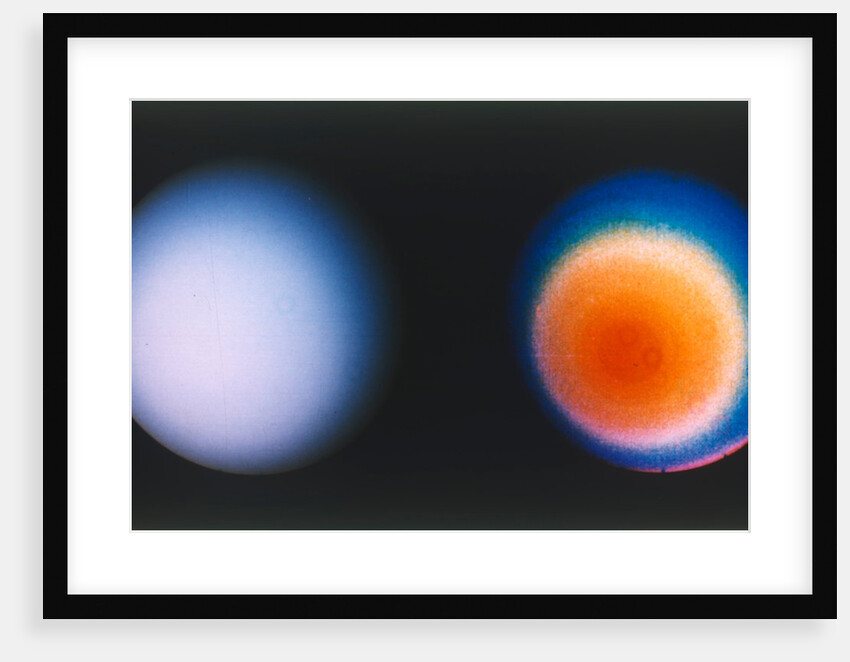 Uranus from Voyager 2 spacecraft, c1980s by NASA