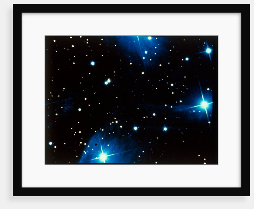 Open star cluster, the Pleiades in Taurus by NASA