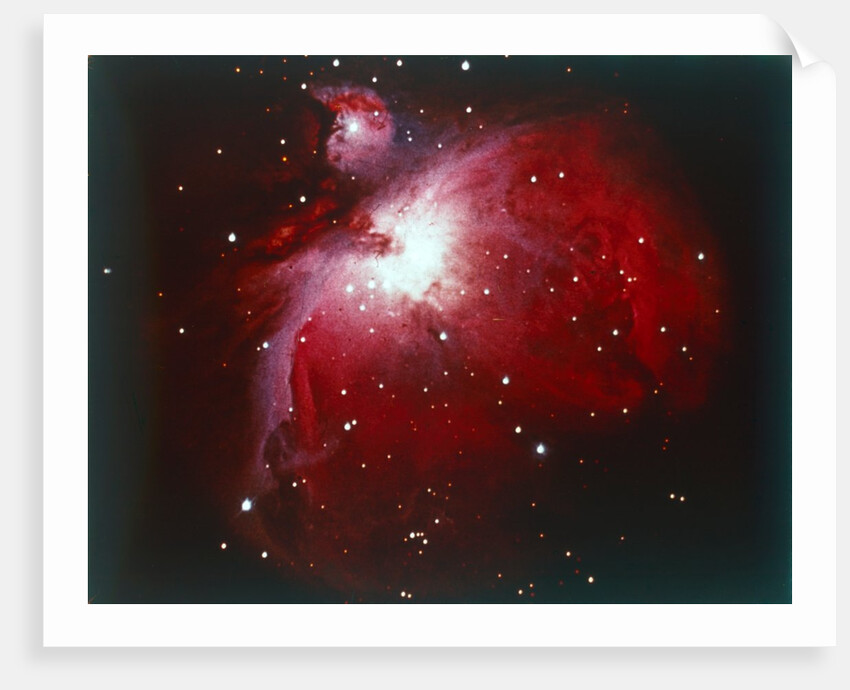 The Orion Nebula by NASA