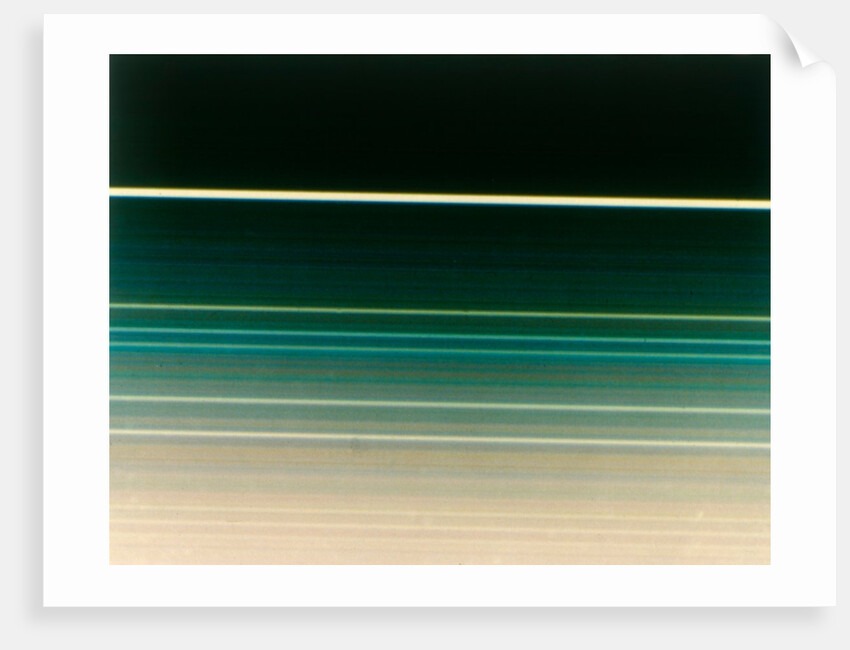 The rings of Uranus by NASA