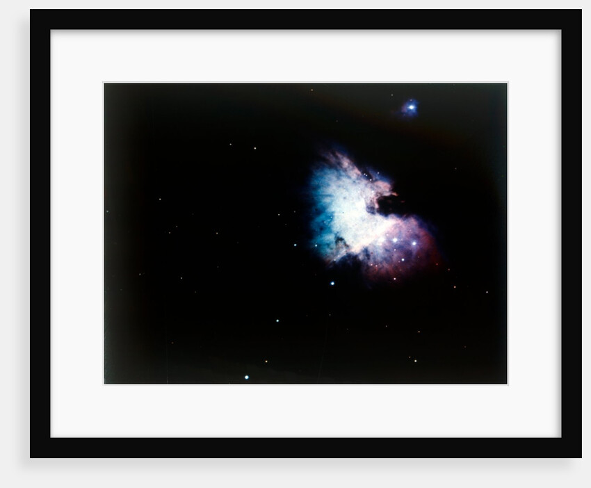 The Orion Nebula by NASA
