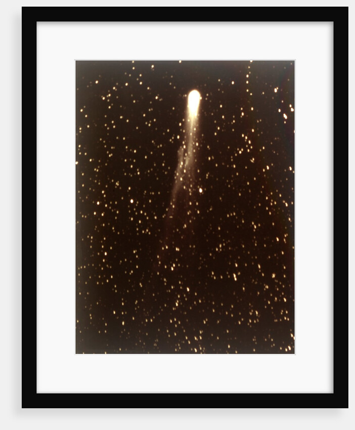 Halley's Comet, 1910 by George Willis Ritchey