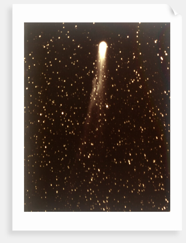 Halley's Comet, 1910 by George Willis Ritchey