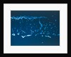 Earth from space - the Great Barrier Reef, Australia, seen from the Space Shuttle, 1983 by NASA
