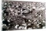 Rock-strewn Martian surface, Viking Lander mission, 1970s by NASA