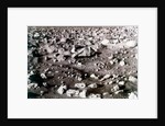 Rock-strewn Martian surface, Viking Lander mission, 1970s by NASA
