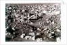 Rock-strewn Martian surface, Viking Lander mission, 1970s by NASA