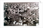 Rock-strewn Martian surface, Viking Lander mission, 1970s by NASA