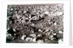 Rock-strewn Martian surface, Viking Lander mission, 1970s by NASA