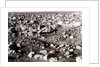 Rock-strewn Martian surface, Viking Lander mission, 1970s by NASA