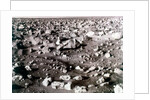 Rock-strewn Martian surface, Viking Lander mission, 1970s by NASA