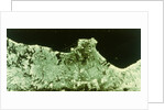Earth from space - radar image of Los Angeles, USA, second Space Shuttle flight, 1981 by NASA