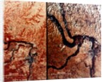 Earth from space - the Mississippi River and St Louis, USA, c1980s by NASA