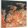 Earth from Space by NASA