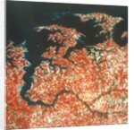 Earth from Space by NASA